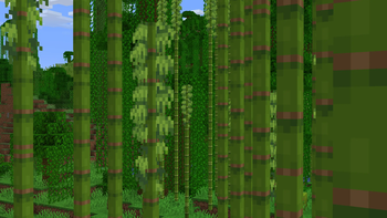 Sparse Jungle