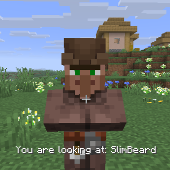 Villager Debug Names