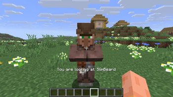 Looking at villager functionality