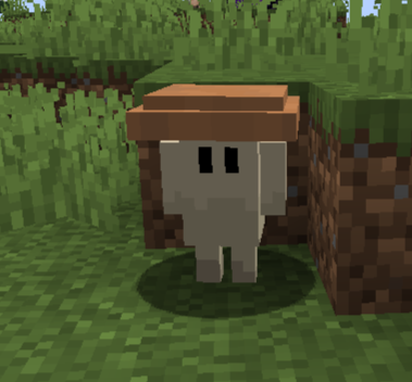 Brown mushroom trader