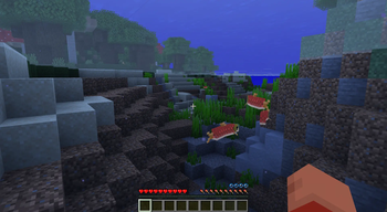 underwater