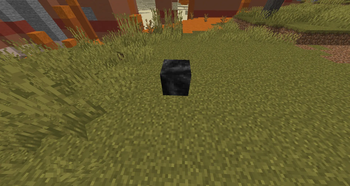 Packed Gunpowder