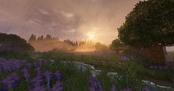 Sunrise