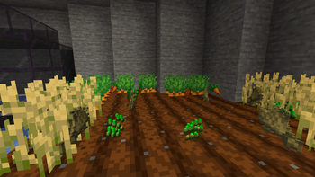 farm.png