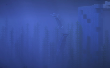 Beluga whales