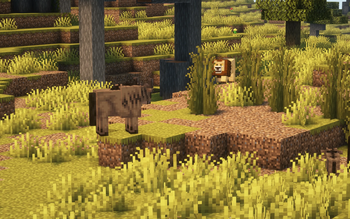 Lion hunting