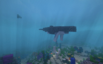Humpback Whale