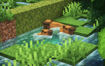 Capybaras