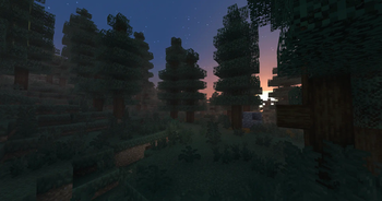 Another Forest