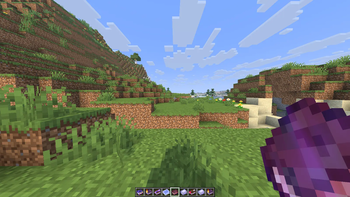 Working Custom Item texture
