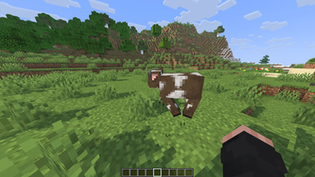 Working Player And animal texture