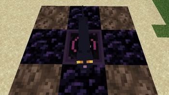 Cat sacrifice