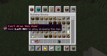 In the inventory