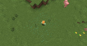 Diamond ore view from the surface