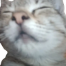 SandwichDev