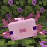AxoTierstiertagger
