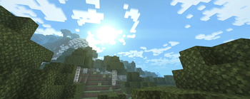 Birch forest ambient 