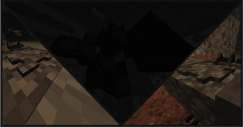 Fossils