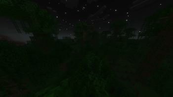 Forest Shader Test w/ shaders