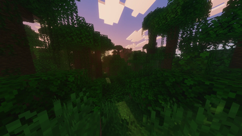 Forest w/ shaders