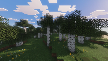 Birch Forest w/ shaders