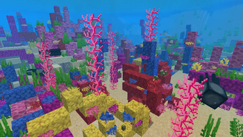 Additional coral