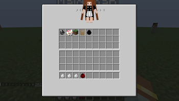 Maid Inventory