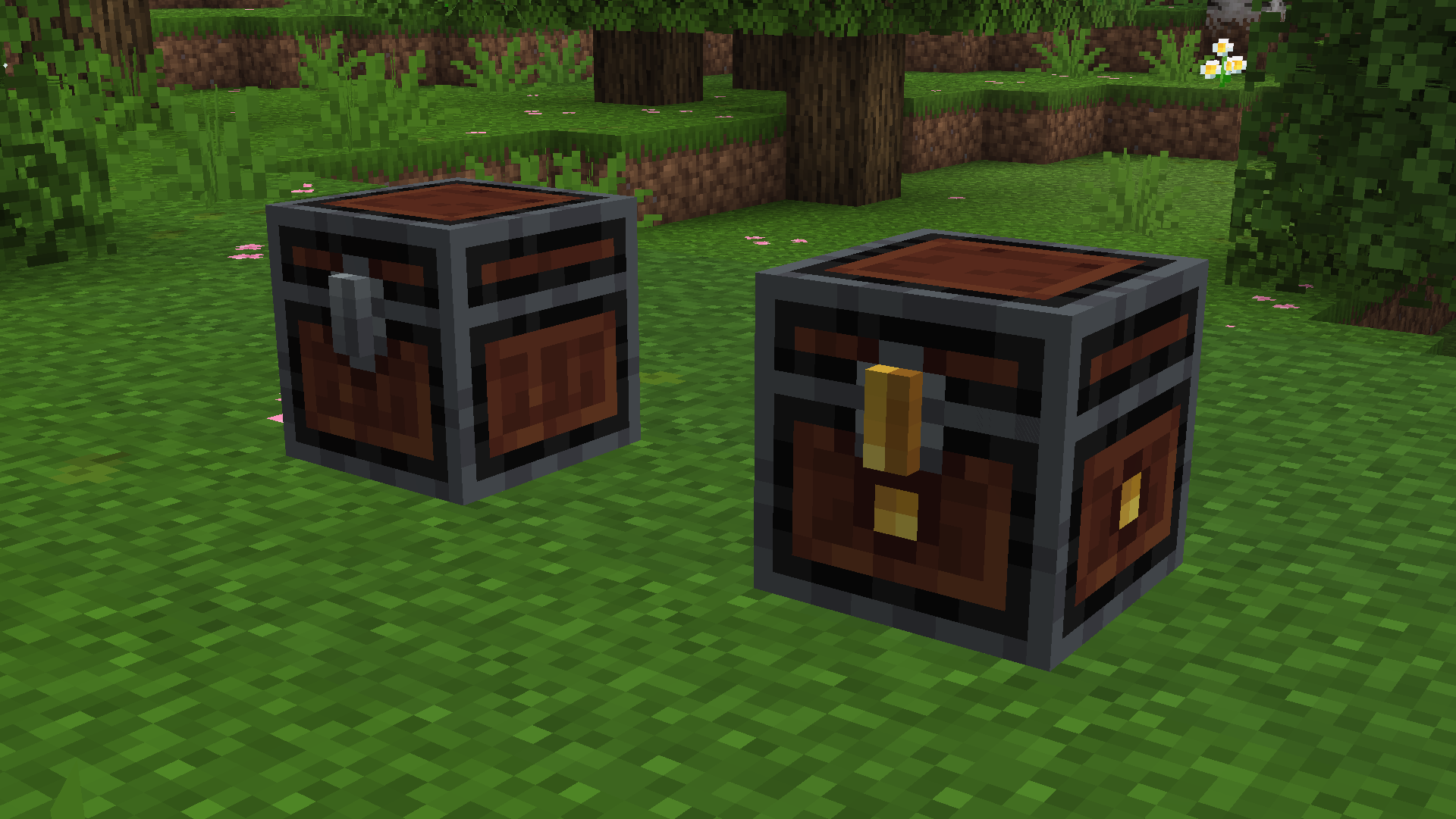 Standard Edition: Chest