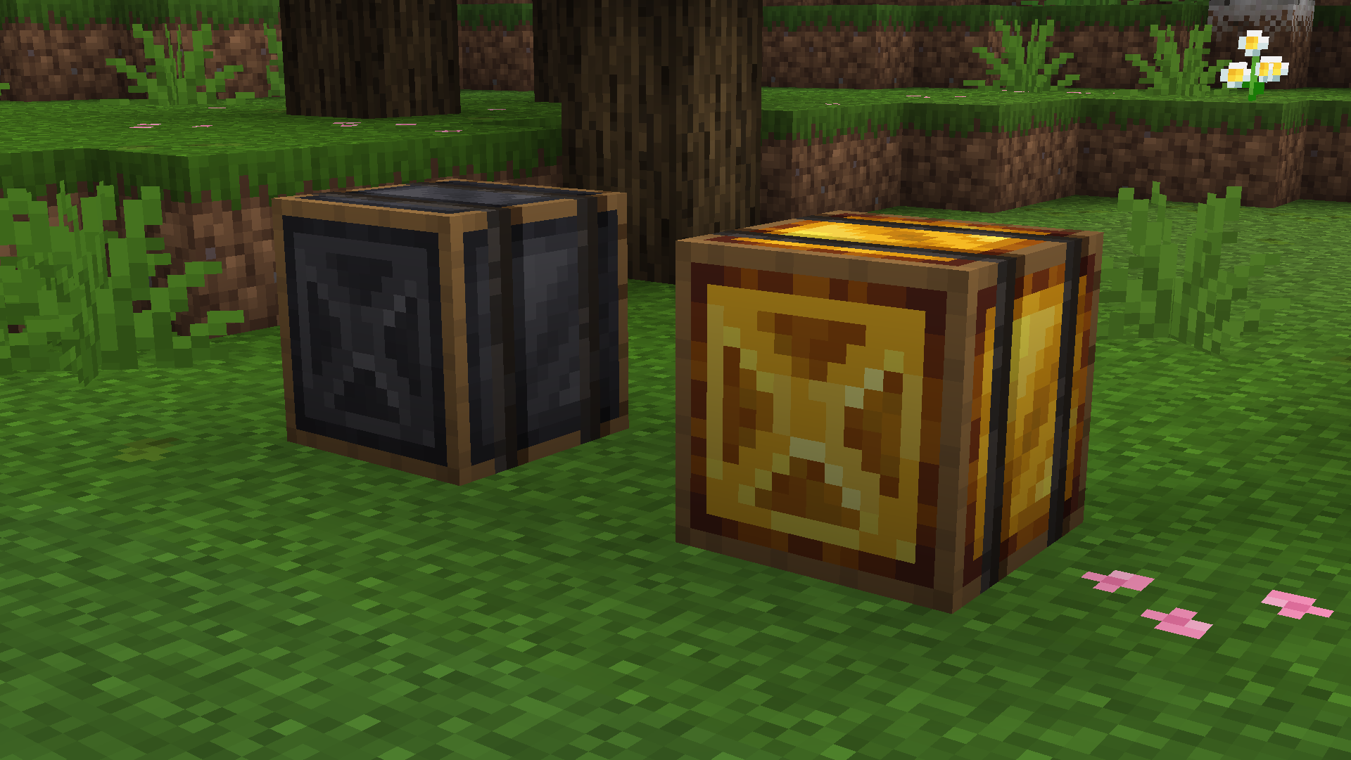 Gold Edition: Barrel