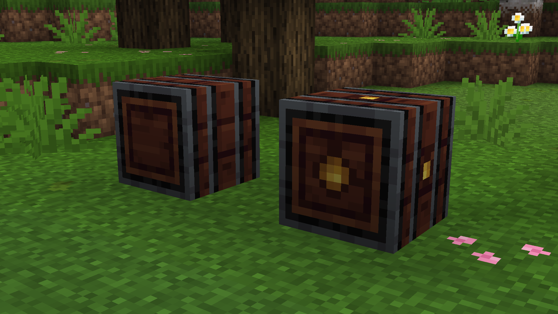 Standard Edition: Barrel