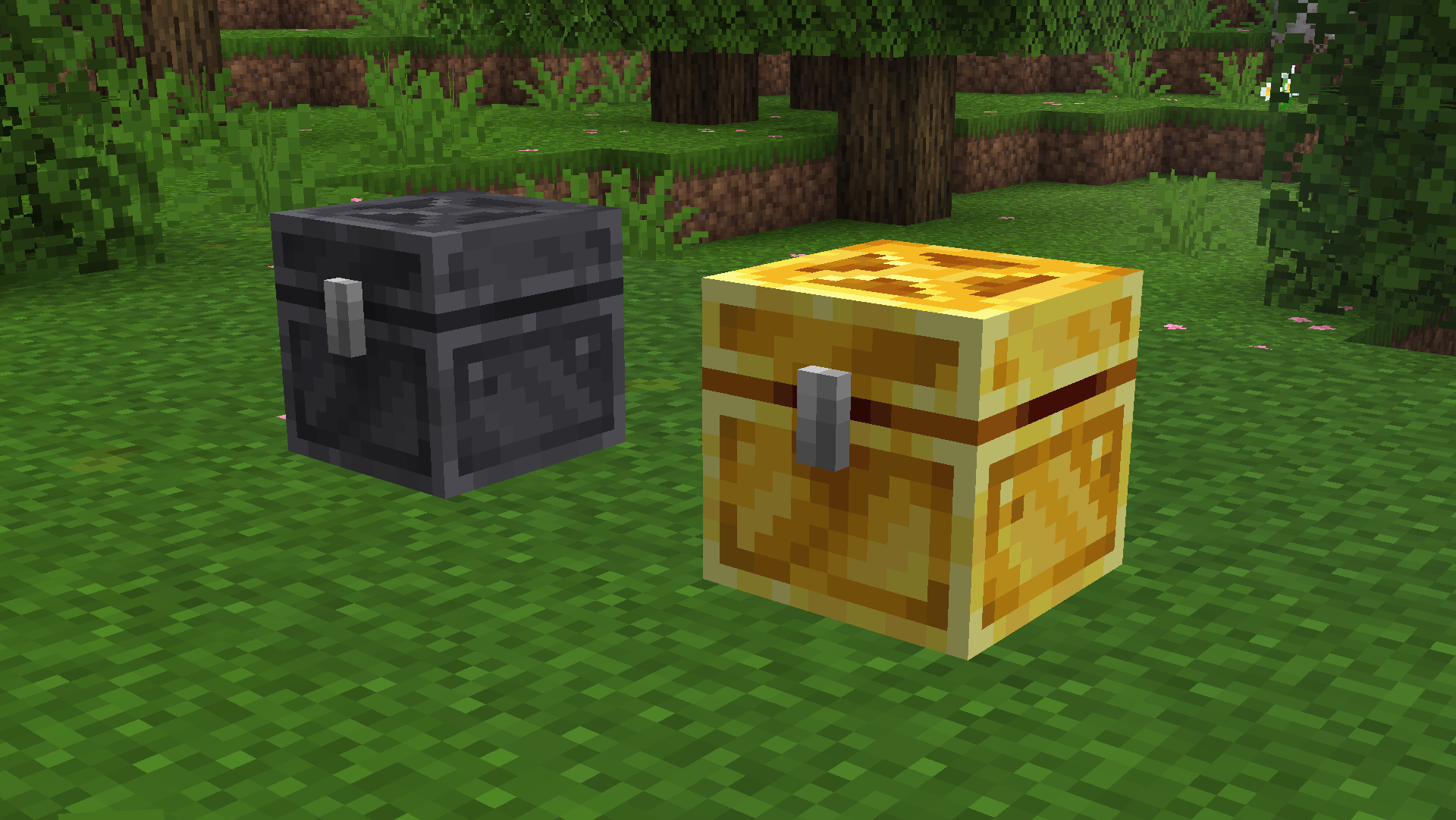 Gold Edition: Chest