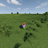 redlowwwpack