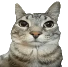 Cat Totem
