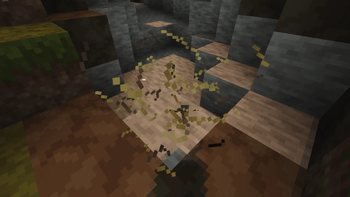 🍃 BLOCK INTERACTIONS