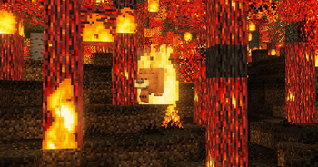 Bear on fire