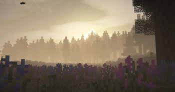 Flower Field