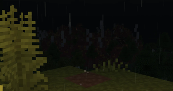 Something big is coming