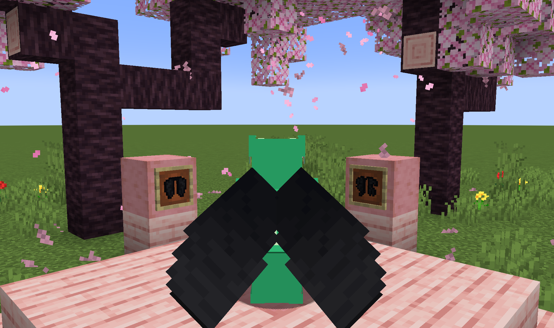 Screenshot demonstrating Resource Pack