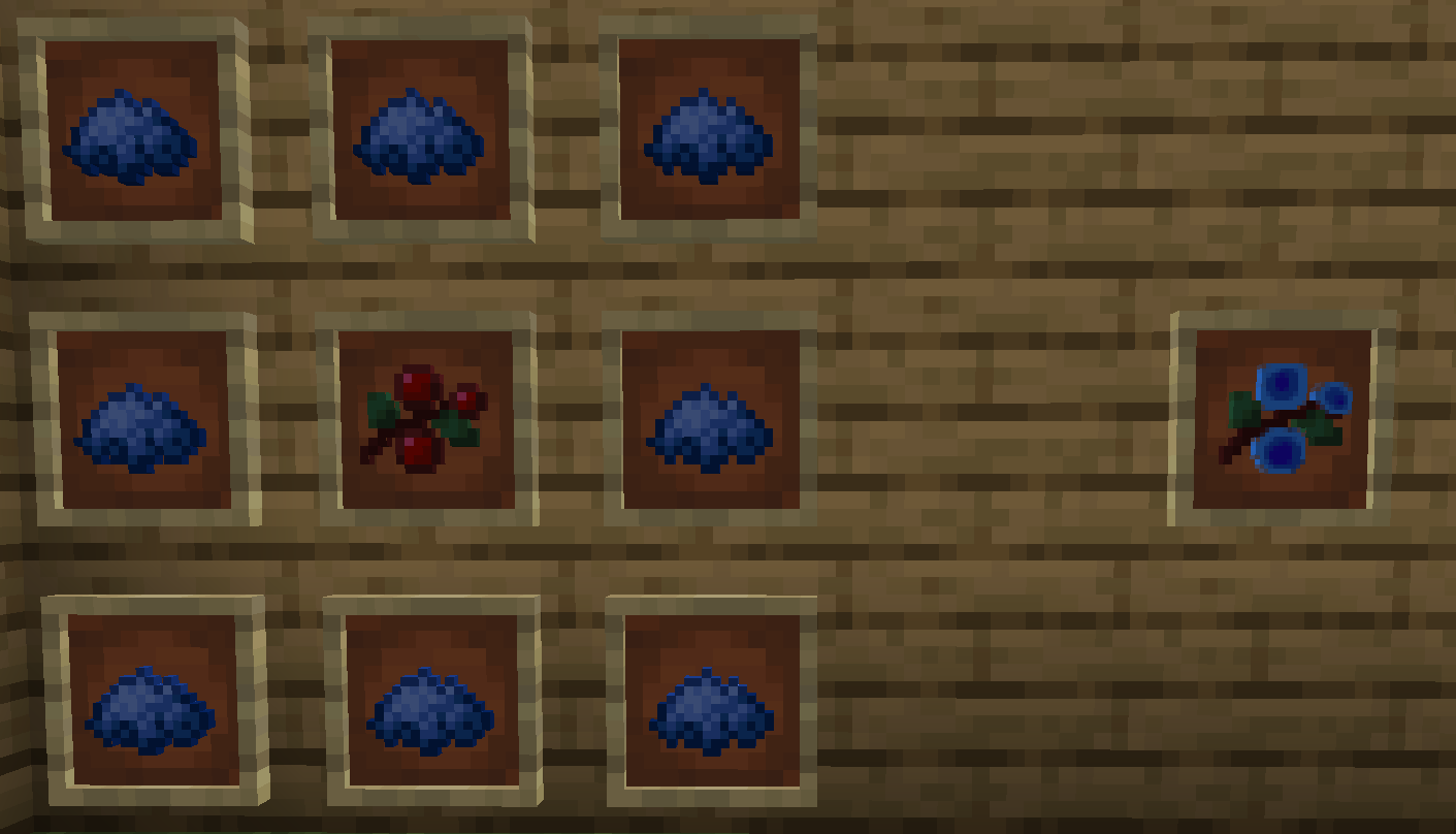Blueberries