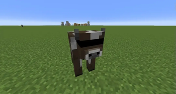 cow