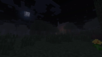 Adam’s Echo Screenshot 2