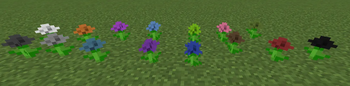 Colored Dandelions