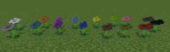 Colored Poppys