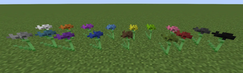 Colored Cornflowers