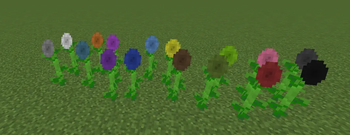 Colored Sunflowers
