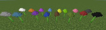 Colored Alliums