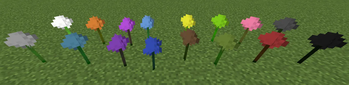 Alliums