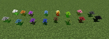 Dandelions
