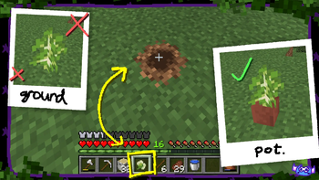Dug dirt demonstration