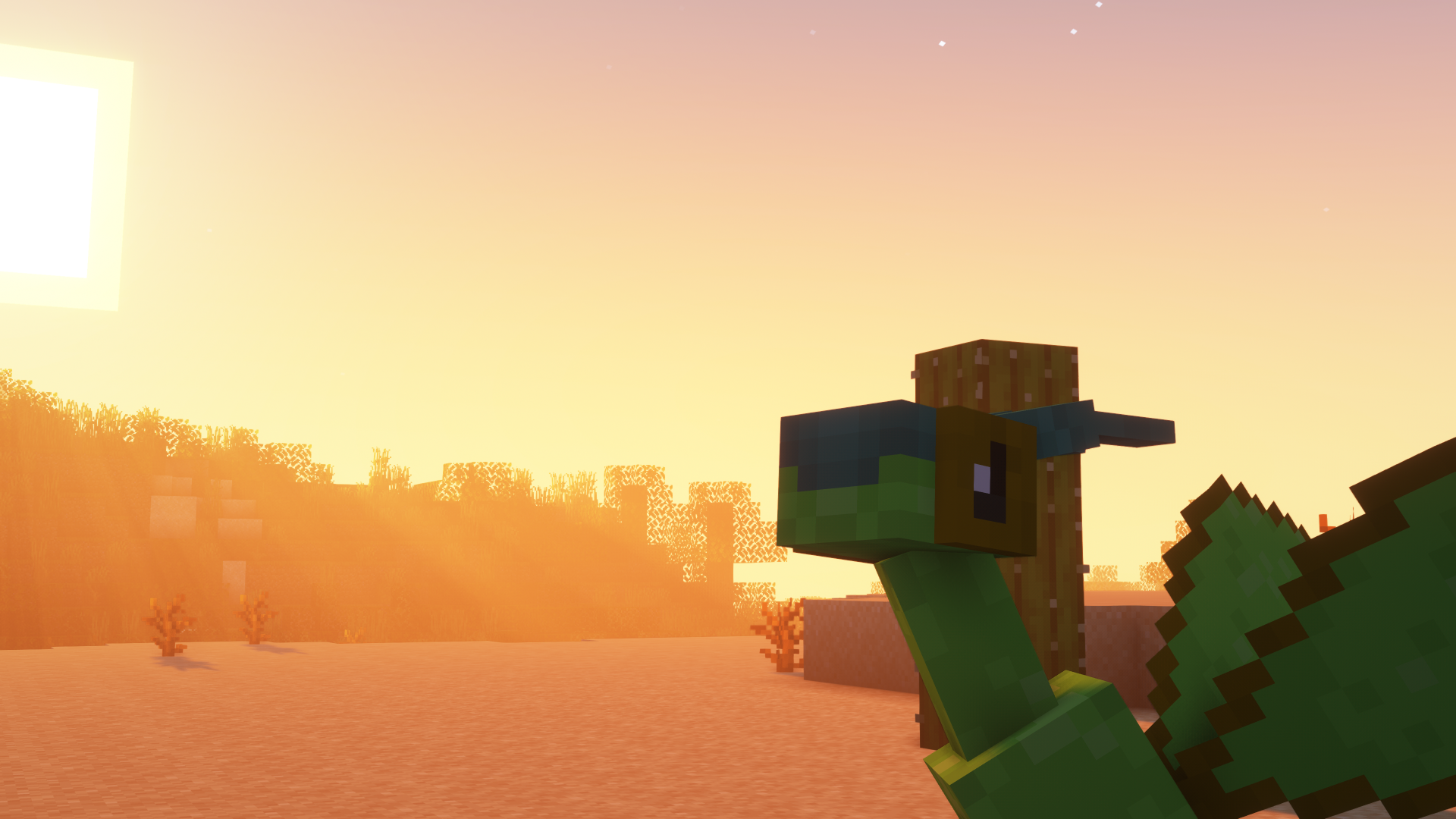 Flygon and the sunset